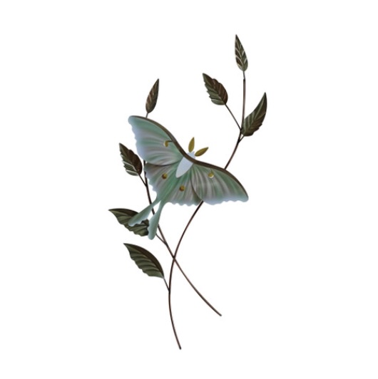 Luna Moth with Foliage