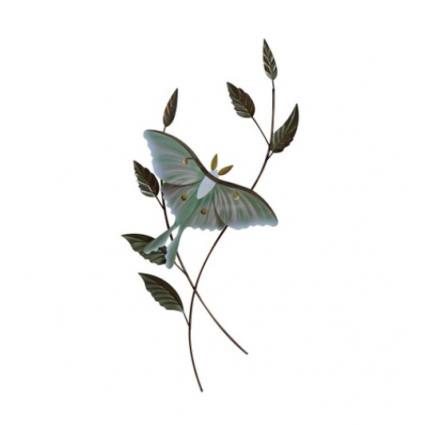 Luna Moth with Foliage