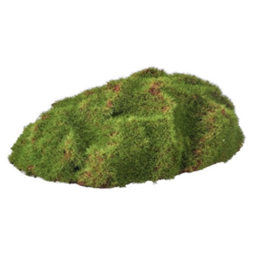 Textured Moss Mound