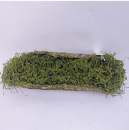 Green Moss Bark 25"
