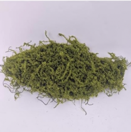 Green Moss Bark 19"