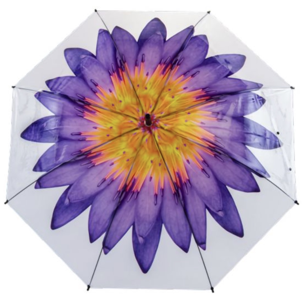 Flower Umbrella