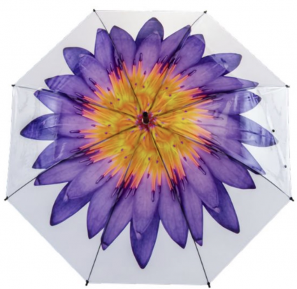 Flower Umbrella