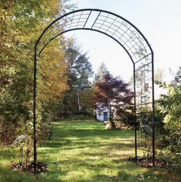 ARBOR, MONET ll