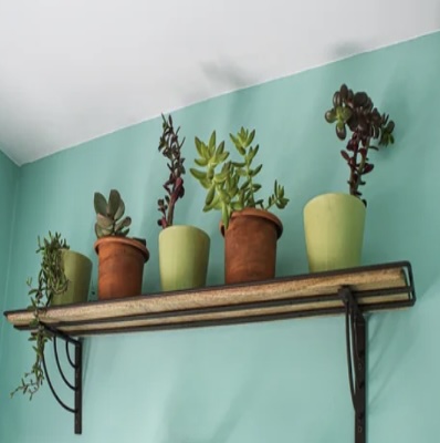 Vita Wall Plant Shelf 36"