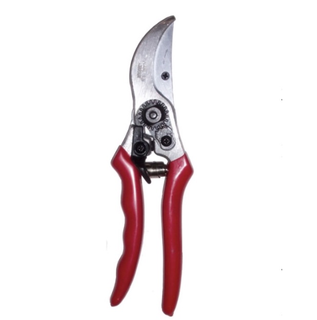 Quality Hand Held Pruner with Replacement Blade