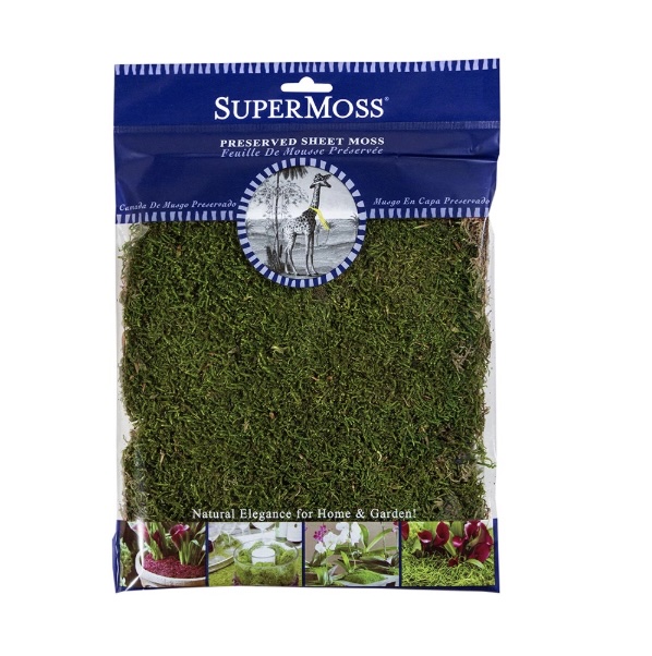 Sheet Moss Preserved