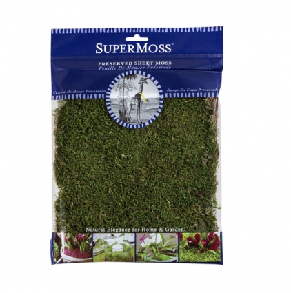 Sheet Moss Preserved