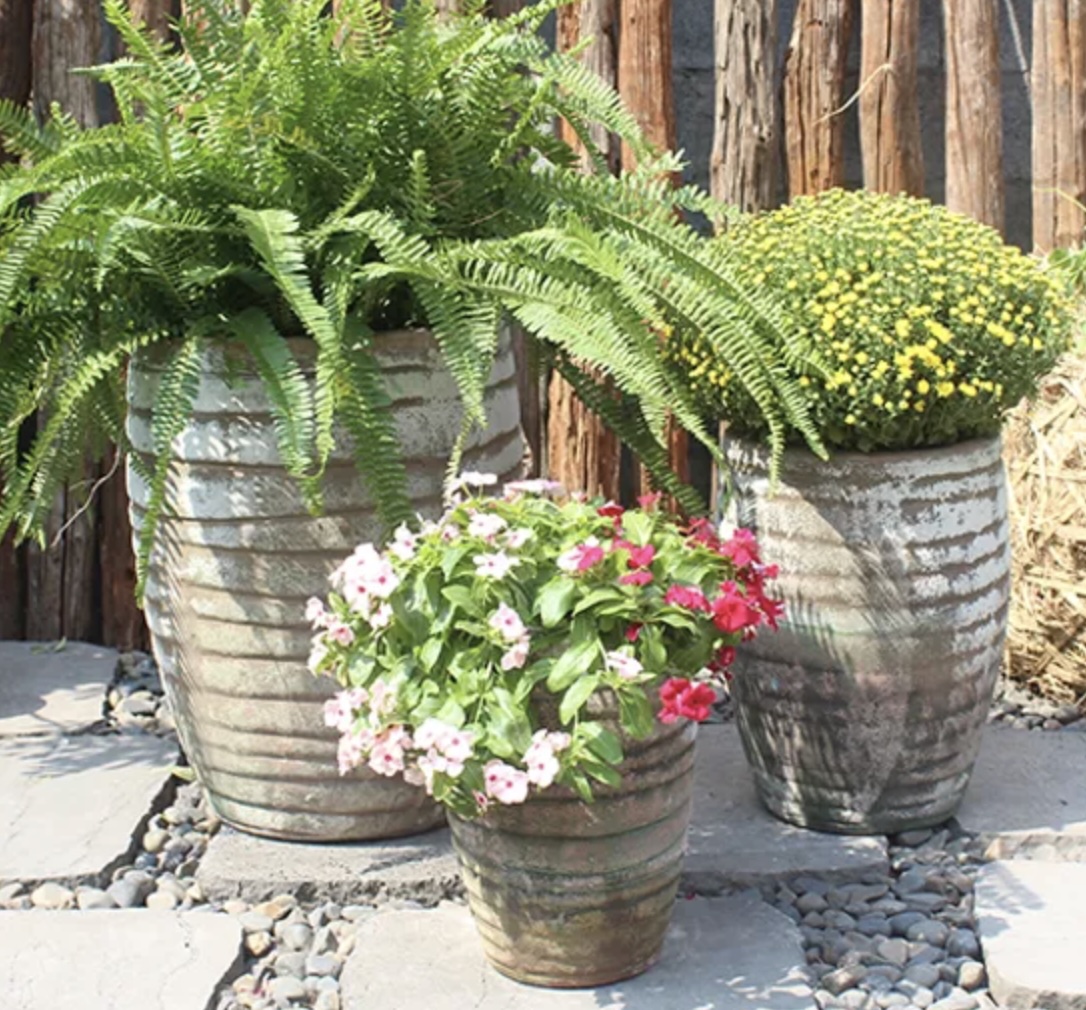 Nevis Washed Carob Planter 11"