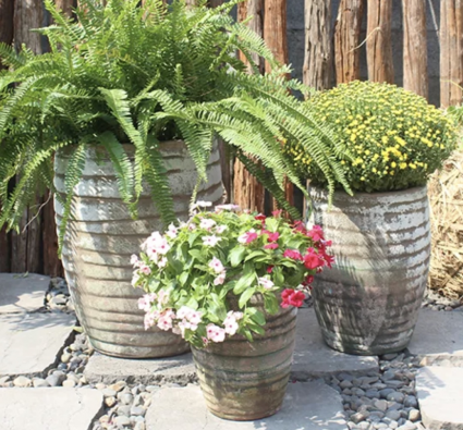 Nevis Washed Carob Planter 11"