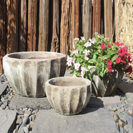 Karthala Bowl Carob Planter 13" 