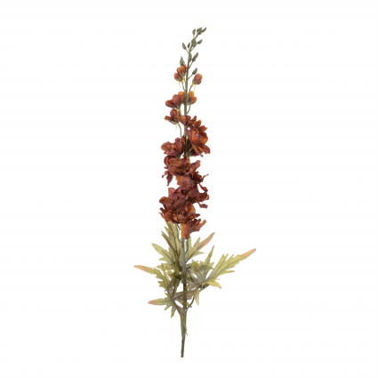 Brown Delphinium Stem 38"