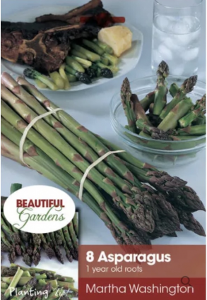 Martha Washington Asparagus Bulbs&nbsp;&nbsp;(8 Bulbs)