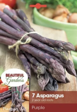 Purple Passion Asparagus Bulbs&nbsp;&nbsp;(7 Bulbs)