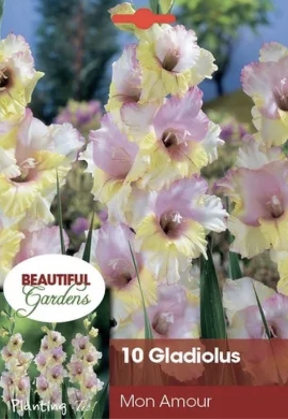Mon Amour Gladiolus Bulbs (10 Bulbs)