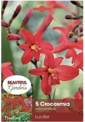Lucifer Crocosmia (5 Bulbs)