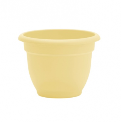 Ariana Daffodil Planter 10"