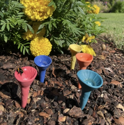 Bold Bee Cup 5-Pack