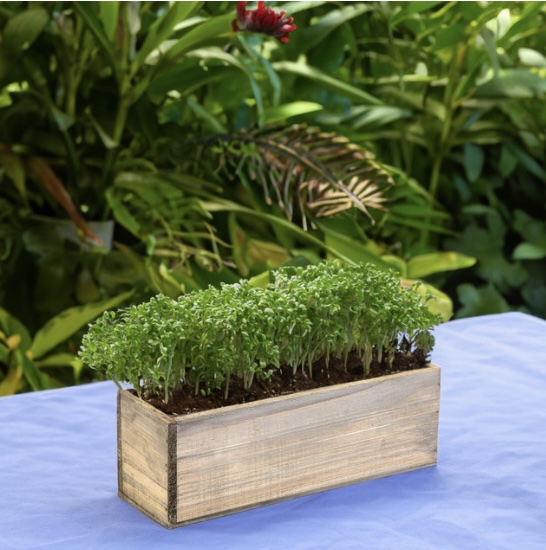 Rustic Wood Long Box Planter 12" x 4"H