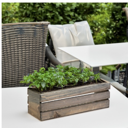 Rustic Wood Wine Crate Long Box Planter 12" x 4"H