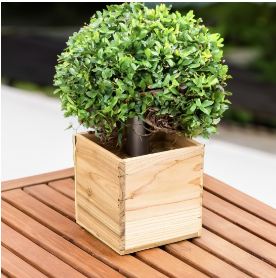 Natural Wood Planter Box 4"