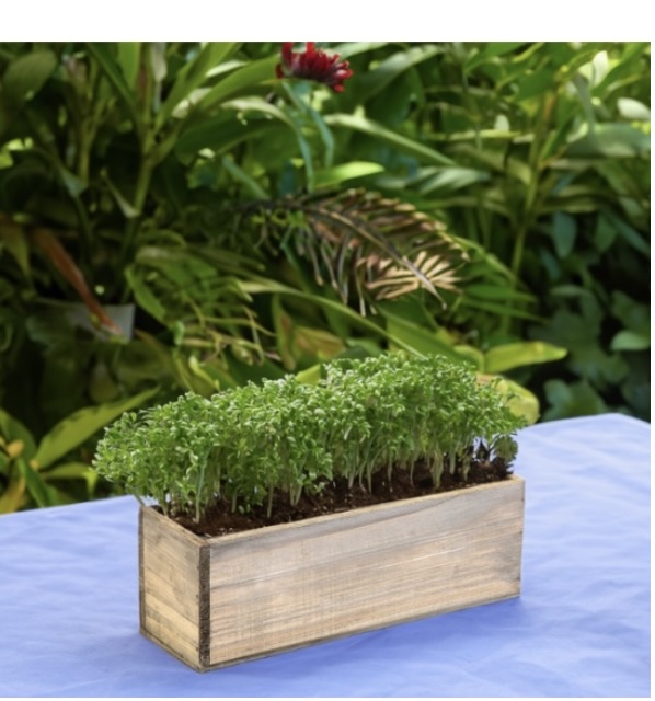 WOOD PLANTERS