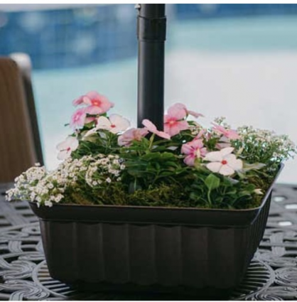 Umbrella Planter Square Brown 13"