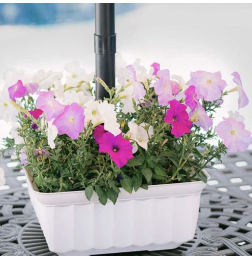 Umbrella Planter Square White 13"