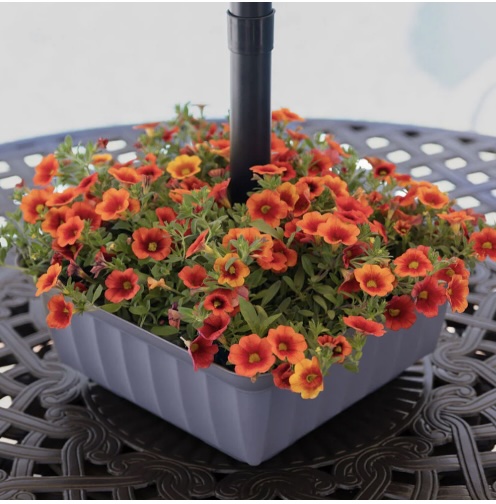 Umbrella Planter Square Grey 13"