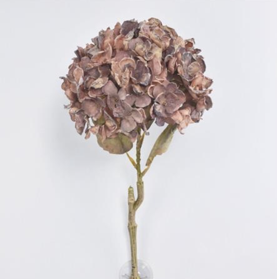 Brown Dried Hydrangea Spray 24.5"