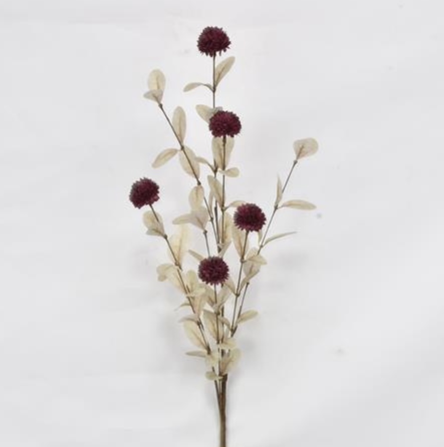 Burgundy Pom Pom Spray 34"