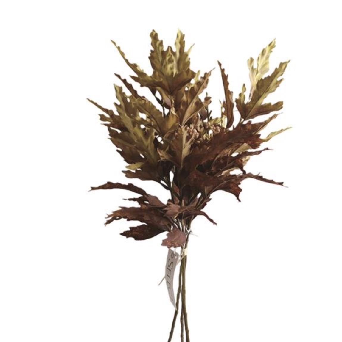 Brown Maple Leaf Bundle 19"