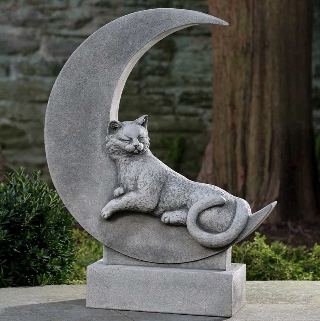 Cat on the Moon