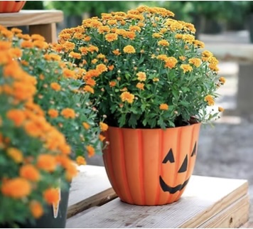 Timberblend Pumpkin Face Planter 10"