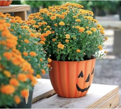 Timberblend Pumpkin Face Planter 10"