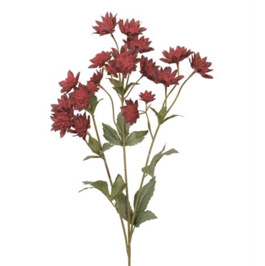 Dark Red Astrantia Spray 29"