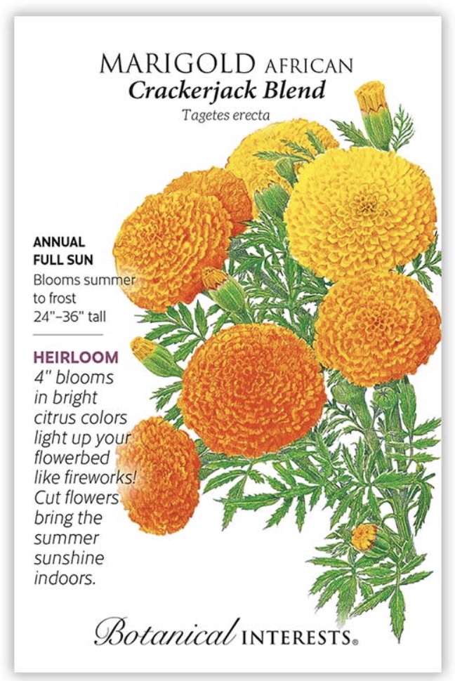 Crackerjack African Marigold Seeds