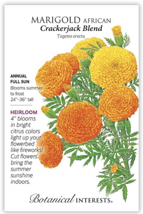 Crackerjack African Marigold Seeds