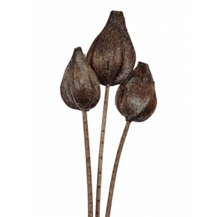 Frosted Glitter Sakia Pod Stem Bundle (3-Stem)