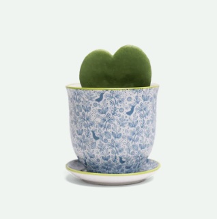 Blue Bird Porcelain Pot and Saucer Set 3"