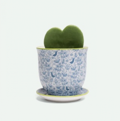 Blue Bird Porcelain Pot and Saucer Set 3"