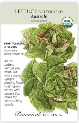 Organic Australe Butterhead Lettuce Seeds