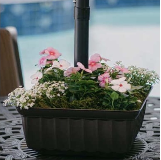 Umbrella Planters