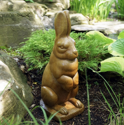 English Hare