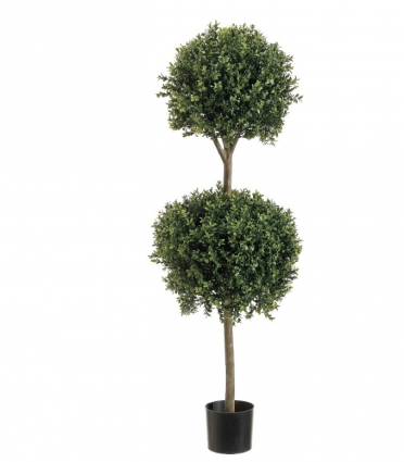 TOPIARY, BOXWOOD DBL BALL 43"