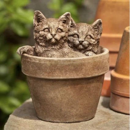 CATS, SPROUTS 8#