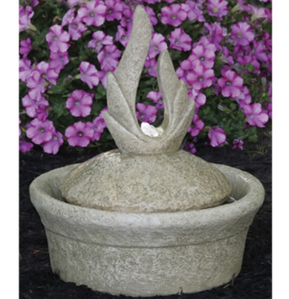 Parva Petal Point Fountainette