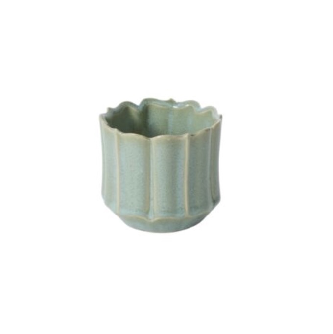 Green Everleaf Pot 3.25" x 3"