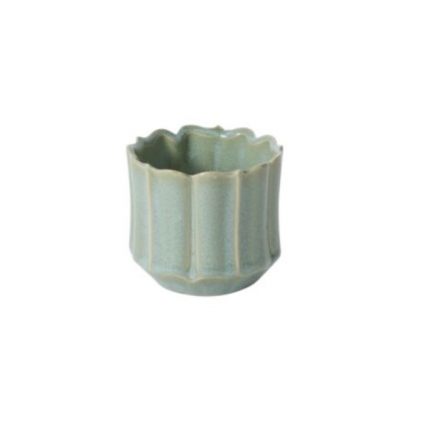 Green Everleaf Pot 3.25" x 3"