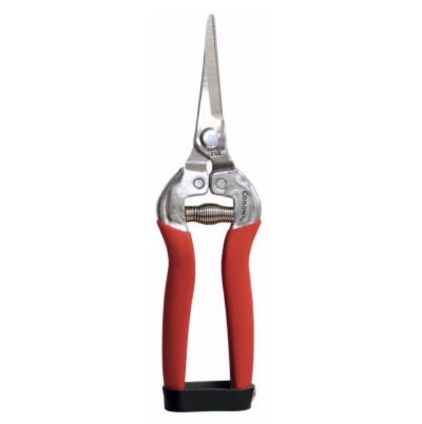 SCISSORS SNIPS AND SHEARS